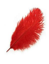 Furry red