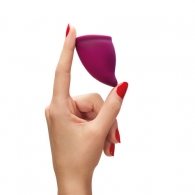 Fun Factory Menstrual Cup Size B
