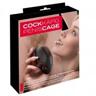 Curved Cock Cage with Ball Rings and Dilator