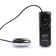 Silver Vibrating Egg